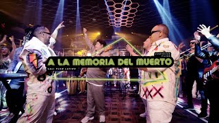 A La Memoria Del Muerto Cali Flow Latino Fruko  Video Oficial [upl. by Olrak540]