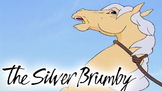 The Silver Brumby  Episode 6  Thowra Is Captured  HD  Full Episode  Videos For Kids [upl. by Proffitt]