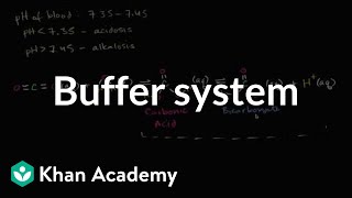 Introduction to buffers  Water acids and bases  Biology  Khan Academy [upl. by Notxap]