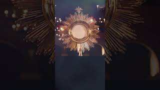 Oración para Casos Difíciles a Jesús Sacramentado reflexiondiaria horasanta oracióncatólica [upl. by Byrann663]