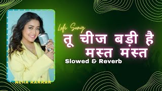 Tu Chij Badi hai Mast Mast  Lofi Song  Slowed amp Reverb  Neha Kakkar Udit Narayan  Hindi Song [upl. by Nomde]