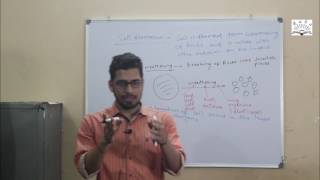 Our Earth  Soil formation and Soil Profile [upl. by Potash]