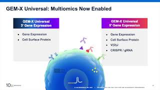 10x Genomics TXG Q3 2024 Earnings Presentation [upl. by Paik]