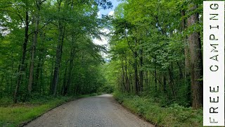 Indiana Hoosier National Forest [upl. by Adliw]