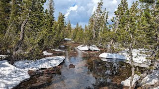 Pacific Crest Trail Thru Hike Episode 29  1000 [upl. by Moth]