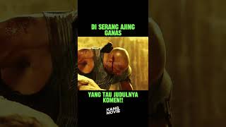 DI SERANG AJING GANAS movie alurceritamovie alurfilm [upl. by Einalem47]