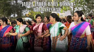 Baha Parab Bhubaneswar 2024  Adim Owar Jarpa Jaher [upl. by Nnylrats]