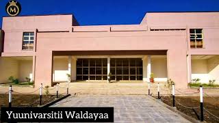 Woldia University Yuunivarsitii Waldayaa ዎለድያ ዩኒቨርሲቲ [upl. by Cheyney983]