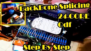 FIBER OPTIC CABLE  ODF Splicing 24 Core  Step By Step Splicing [upl. by Yraunaj]