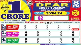 Dear Goose Tuesday Weekly Lottery 8PM 30042024 Dear Nagaland State Lotteries Live Draw Results [upl. by Aniakudo840]