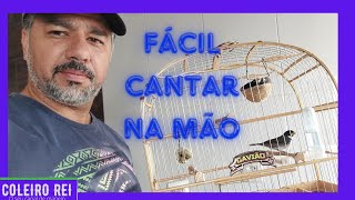 COMO FAZER COLEIRO E PAPA CAMPIM CANTAR DE GAIOLA NA MÃO [upl. by Googins]