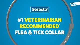 Seresto® 1 VetRecommended Flea and Tick Protection for Sucky Situations 06s [upl. by Fortunna548]