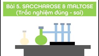 Video 214 Bài 5 SACCHAROSE amp MALTOSE Trắc nghiệm đúng  sai [upl. by Dusty]