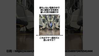 誰もいない電車で床に寝転がる写真を投稿した男に関するうんちく 電車 炎上 VOICEVOX四国めたん shortsfeed 07 [upl. by Uel]