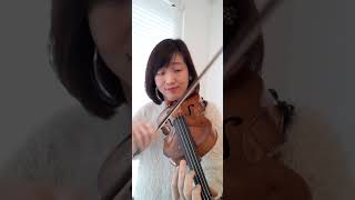 Winter from the four seasons violin vivaldi ヴィバルディ 四季より冬 第二楽章 [upl. by Delphinia]