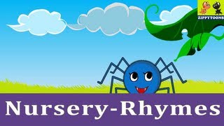 Animated Nursery Rhymes  Incy Wincy Spider  Kids Songs With Lyrics By ZippyToons TV [upl. by Fiertz]