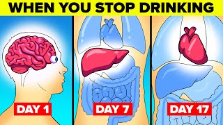 What Happens To Your Body When You Stop Drinking Alcohol [upl. by Eilitan]