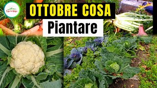 Cosa Piantare a Ottobre nellORTO Ecco alcune piante che puoi già piantare [upl. by Ardnoel]