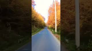 Poiana Răchitelii by moto travel mountains roadtrip beautiful nature autumn forest [upl. by Gievlos]