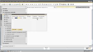 Extracto bancario y reconciliaciones en SAP Business One [upl. by Yddeg]