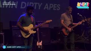 Damn Dirty Apes live at Uah Festival 2020 live streaming [upl. by Clarabelle]