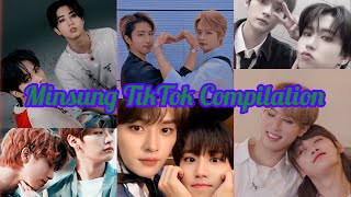 Minsung TikTok Compilation pt6 [upl. by Kala467]