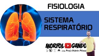 Sistema Respiratório [upl. by Yaluz]