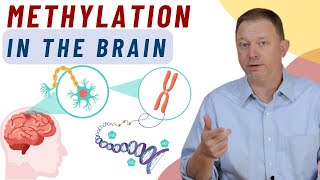 Methylation in the Brain What is it [upl. by Ferdie]