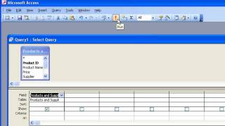 Microsoft Access Tutorial for Beginners 1  Overview Access 2003 [upl. by Nyrak]