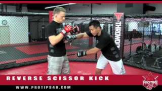 MMA Tips Reverse Scissor Kick with Cung Le [upl. by Masera]