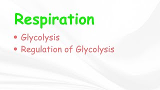 RespirationType of RespirationGlycolysisBSc 3rd YearLife Science Classes [upl. by Ehman]