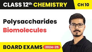 Polysaccharides  Biomolecules  Class 12 Chemistry Chapter 10  CBSE 202425 [upl. by Assiren]