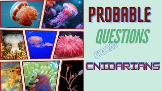 Probable Questions  Cnidarians  Malayalam FYUGP  Sem 1  Dr RaniSDharan [upl. by Thorlie]