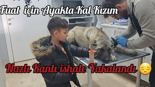 NAZLI DA DURUM KRİTİK FUAT COK ÜZÜLÜYOR 😔😔 [upl. by Miahc]