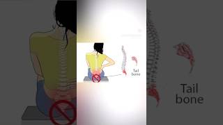 Coccydynia exercises coccydynia physio physiotherapy [upl. by Mosenthal]