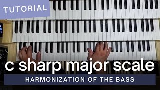 How to Harmonize C Sharp Major Scale in the Bass [upl. by Rech428]