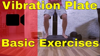 quotBASICquot Whole Body Vibration Machines LEG Workout  Vibration Plate Exercises [upl. by Nudnarb432]