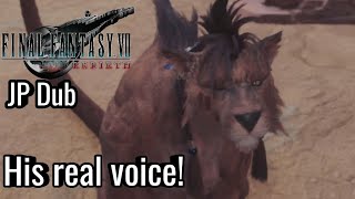 Red XIIIs Real Voice in JP VoicesDub Final Fantasy VII Rebirth [upl. by Bik855]