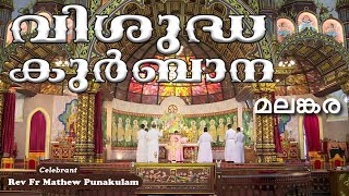 Malankara Catholic Qurbana  31 DEC 2023Rev Fr Mathew PunakulamMALAYALAM MASS TODAY GOODNESS TV [upl. by Darell]