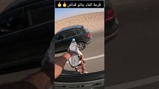 معنى كلمة Le geste qui compte السائقالمهني السباعي اكسبلور youtubeshorts youtube youtuber [upl. by Shayne]