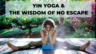 Yin Yoga amp The Wisdom Of No Escape [upl. by Mohandas927]