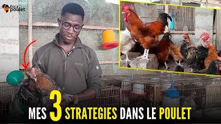 jutilise ces 3 STRATEGIES pour OBTENIR le POULET DE 10 SEMAINES élevage du poulet local [upl. by Jim]