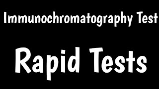 Rapid Tests  Immunochromatography Test  Lateral Flow Assay [upl. by Nath]