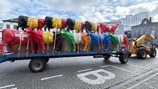 Farmers wheel plaster cows through Brussels to demand fair milk prices [upl. by Gusta]