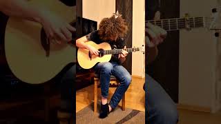 Lowden F50 Adirondak SpruceGuatemalan Rosewood  Martin Schnella Fingerstyle Solo lowdenguitars [upl. by Jehiel]