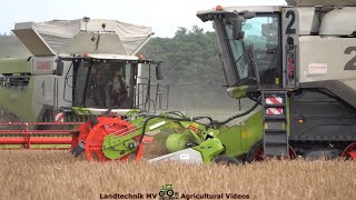 Claas  Fendt  Hawe  Getreideernte  Grain Harvest 2022 pt1 [upl. by Lleksah2]