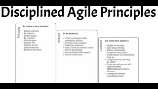 8  Disciplined Agile Principles 1 [upl. by Aneez]