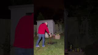 Lighting bigger Rocket Firework in my back garden on Bonfire Night [upl. by Wallace]