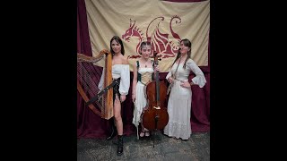 SHOW EN VIVO de ANIMA en Aldea Medieval  Movie Soundtracks [upl. by Kacie567]