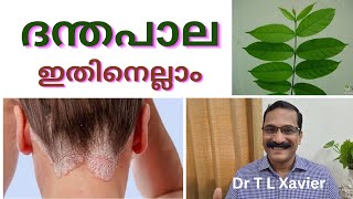 ദന്തപാല  Ayurvedas Secret for Skin Health  Dr T L Xavier [upl. by Fairley]